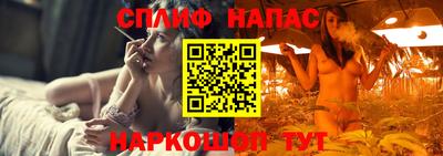 прущие крисы Славгород