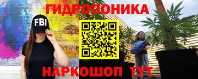 прущие крисы Славгород