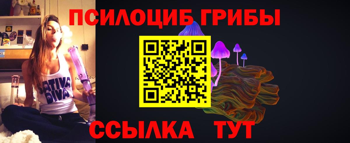 Омск  Галлюциногенные грибы Psilocybe  Псилоцибиновые грибы прущие грибы  Вход с VPN 
